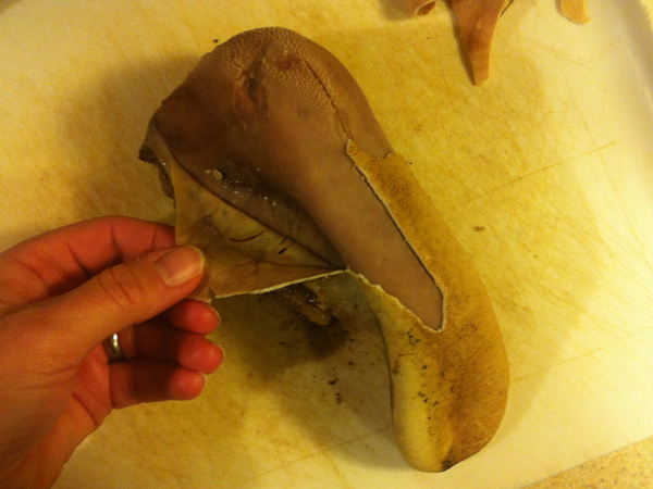 Photograph of peeling the rough skin of a cooked elk tongue